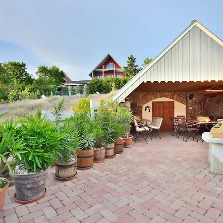 Levendula Vendeghaz * Lovas