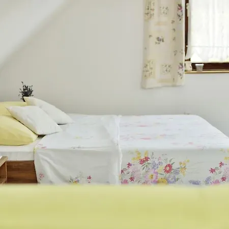 Levendula Vendeghaz Villa Lovas