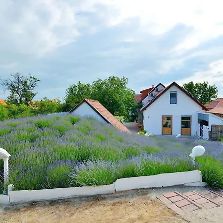 Levendula Villa Lovas