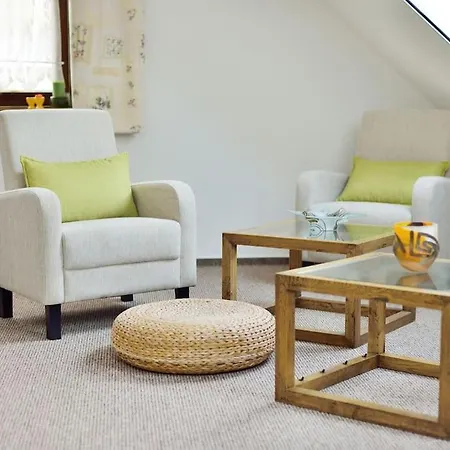 Levendula Vendeghaz Lovas