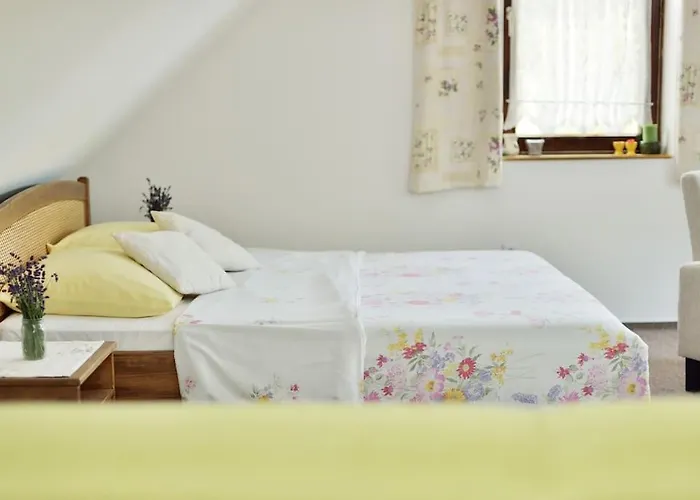 Levendula Vendeghaz Villa Lovas